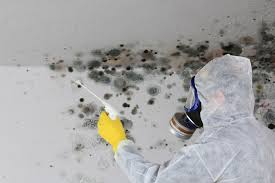 Best Attic Mold Removal  in Sleepy Hollow, CA